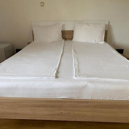 Vila Hubert Băile Felix エクステリア 写真