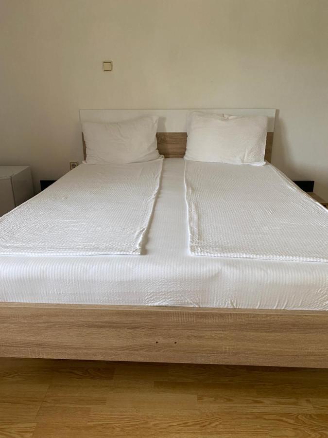 Vila Hubert Băile Felix エクステリア 写真